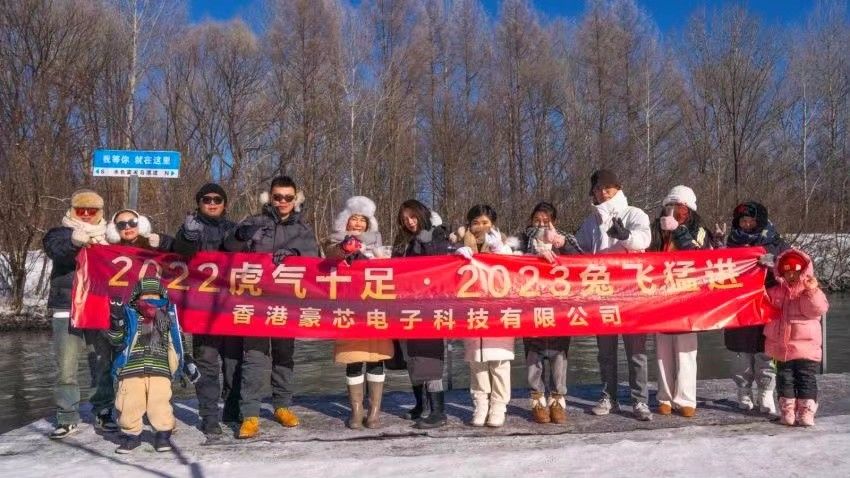 中国 HAOXIN HK ELECTRONIC TECHNOLOGY CO. LIMITED 会社概要