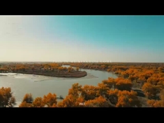 新疆青年連盟建設